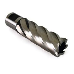 EVOLUTION Uzun Seri Kesici Uç Ø 45mm - Uzunluk: 50mm (45L)