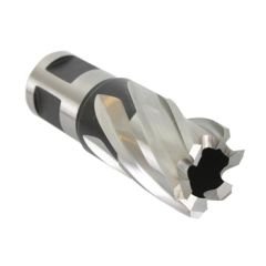 EVOLUTION Kısa Seri Kesici Uç Ø 12mm Uzunluk: 25mm (C12S)