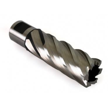 EVOLUTION Uzun Seri Kesici Uç Ø 17mm - Uzunluk: 50mm (17L)